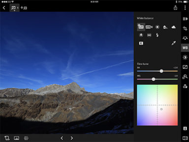 shadow pro palette lens blur shadow pro palette lens blur