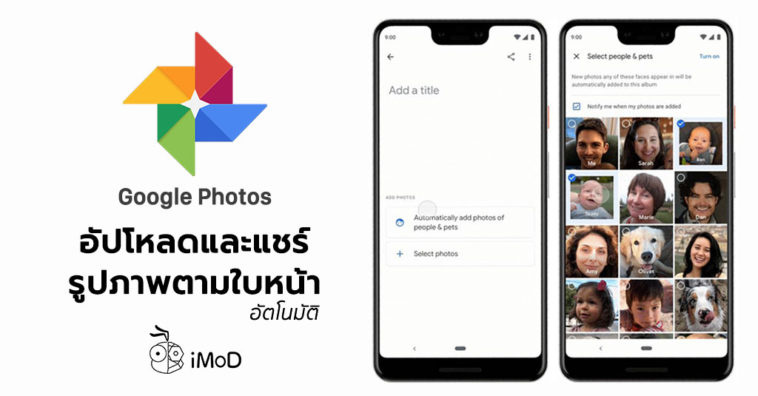 Google Photos Update Live Album Feature