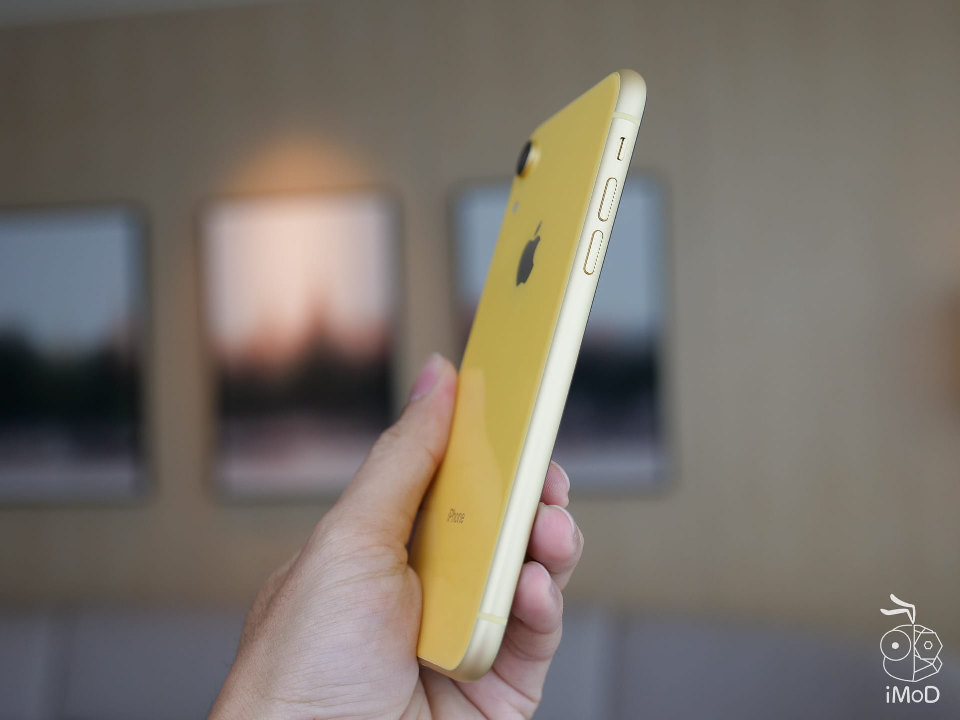 Iphone Xr Colors 1199124