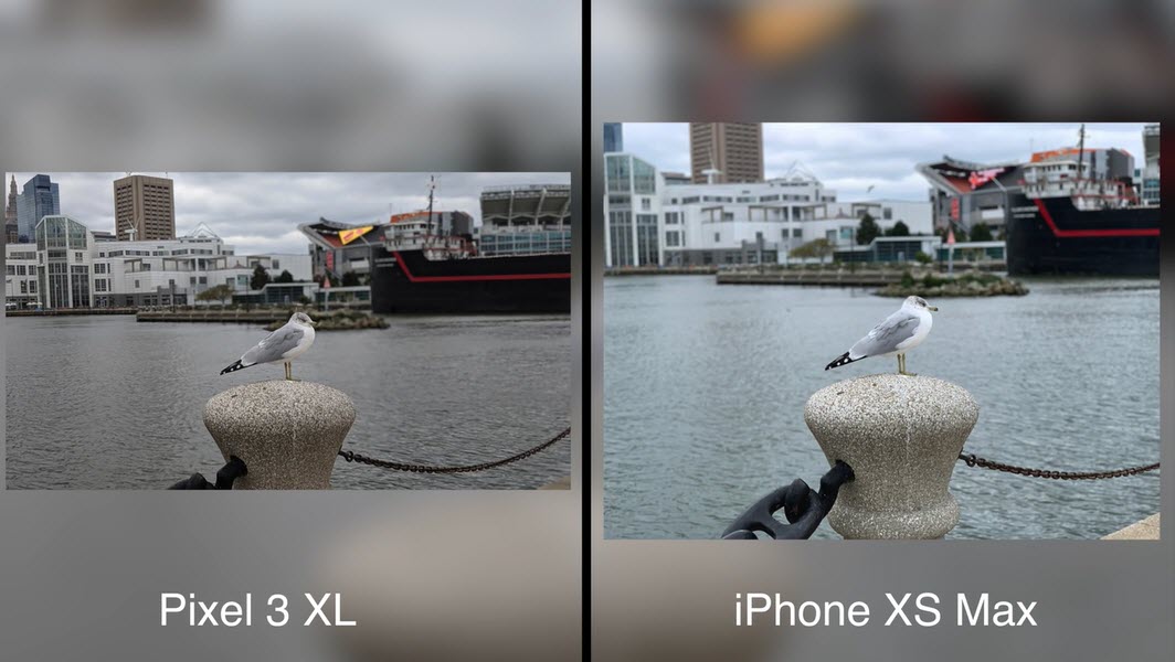 Iphone Xs Max Pixel 3 Xl Camera Test Macrumors Img 5