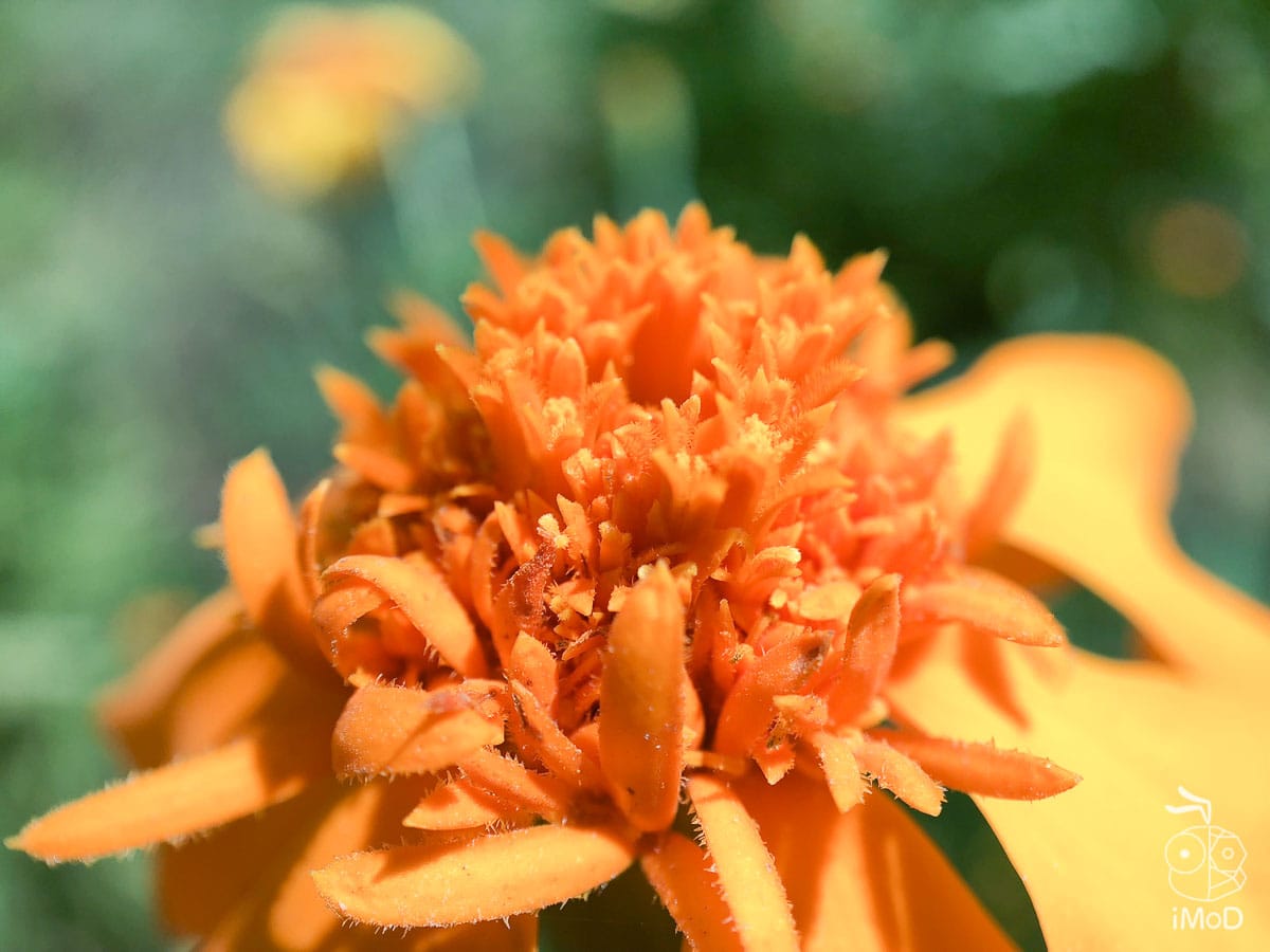 Ztylus Revolver M Series Iphone X Review 1181