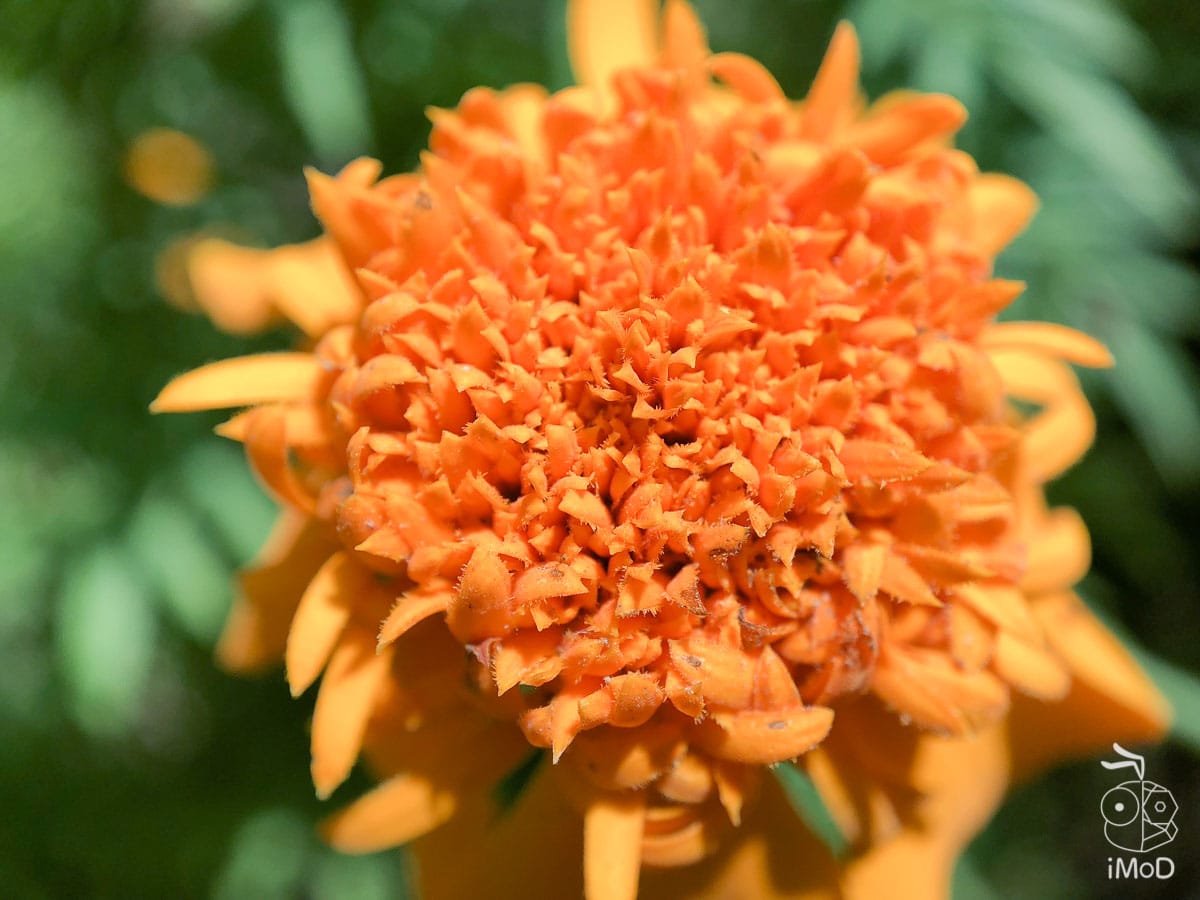 Ztylus Revolver M Series Iphone X Review 1187