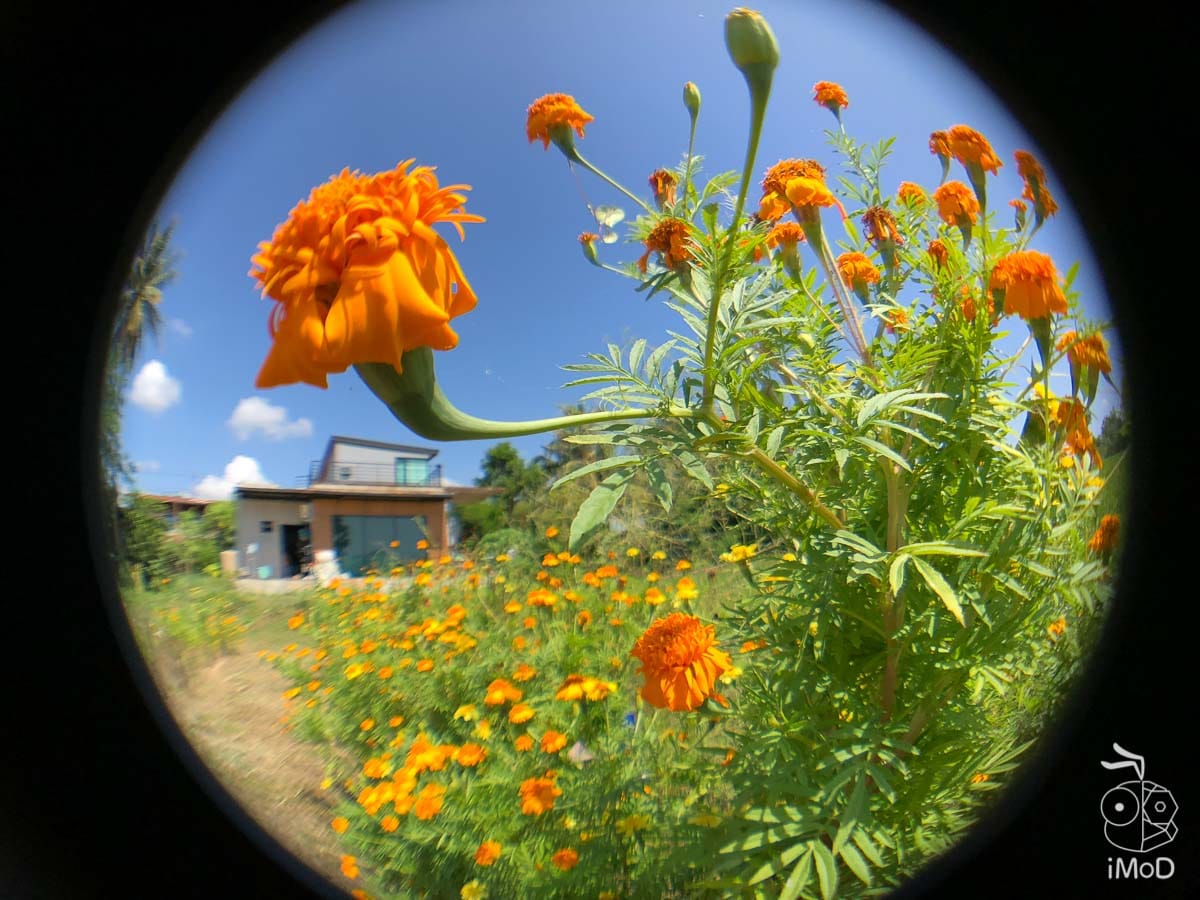 Ztylus Revolver M Series Iphone X Review 1192