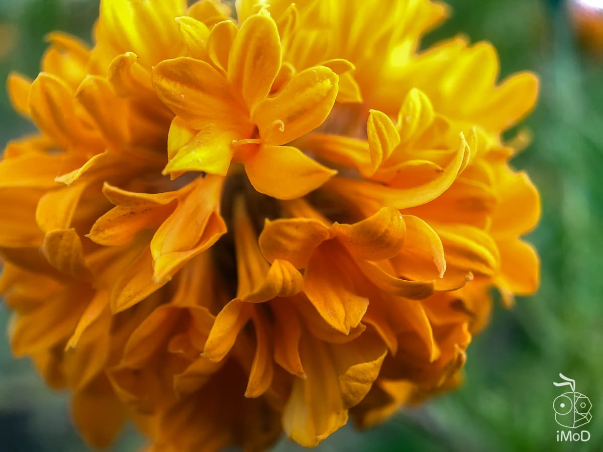 Ztylus Revolver M Series Iphone X Review 1308