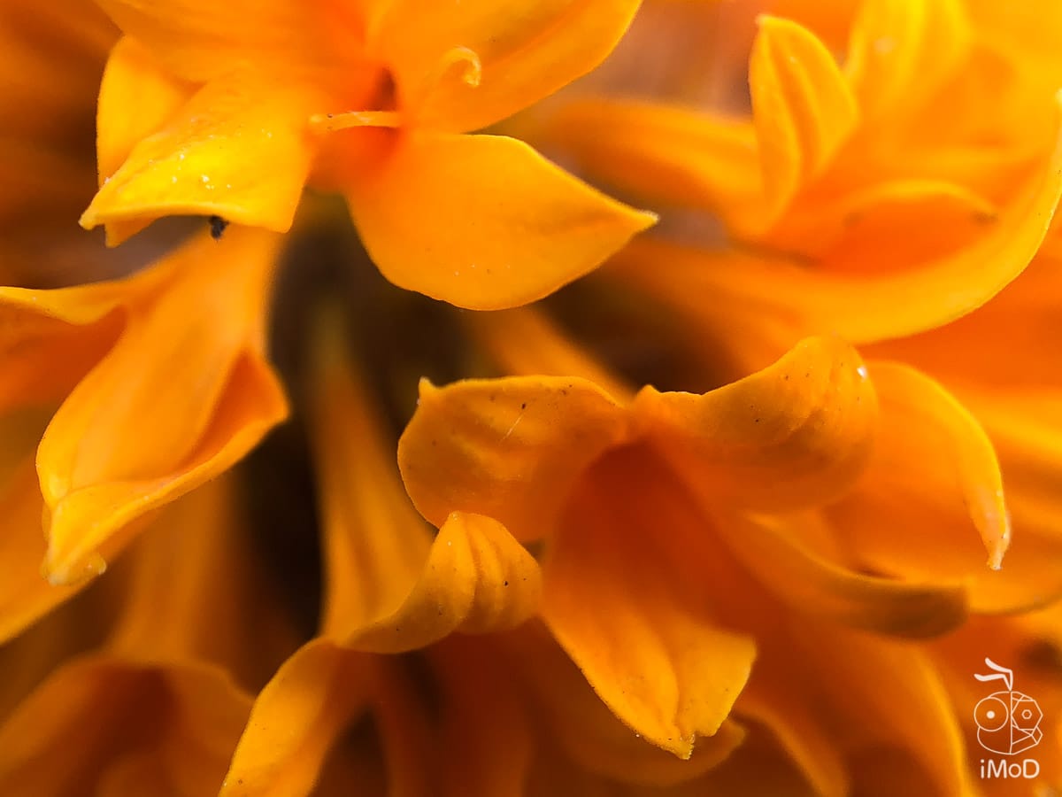 Ztylus Revolver M Series Iphone X Review 1310