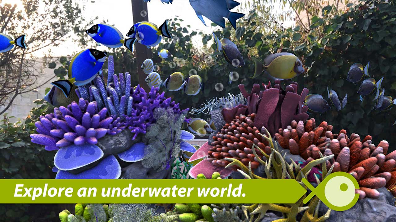 App Fishinggo Content1