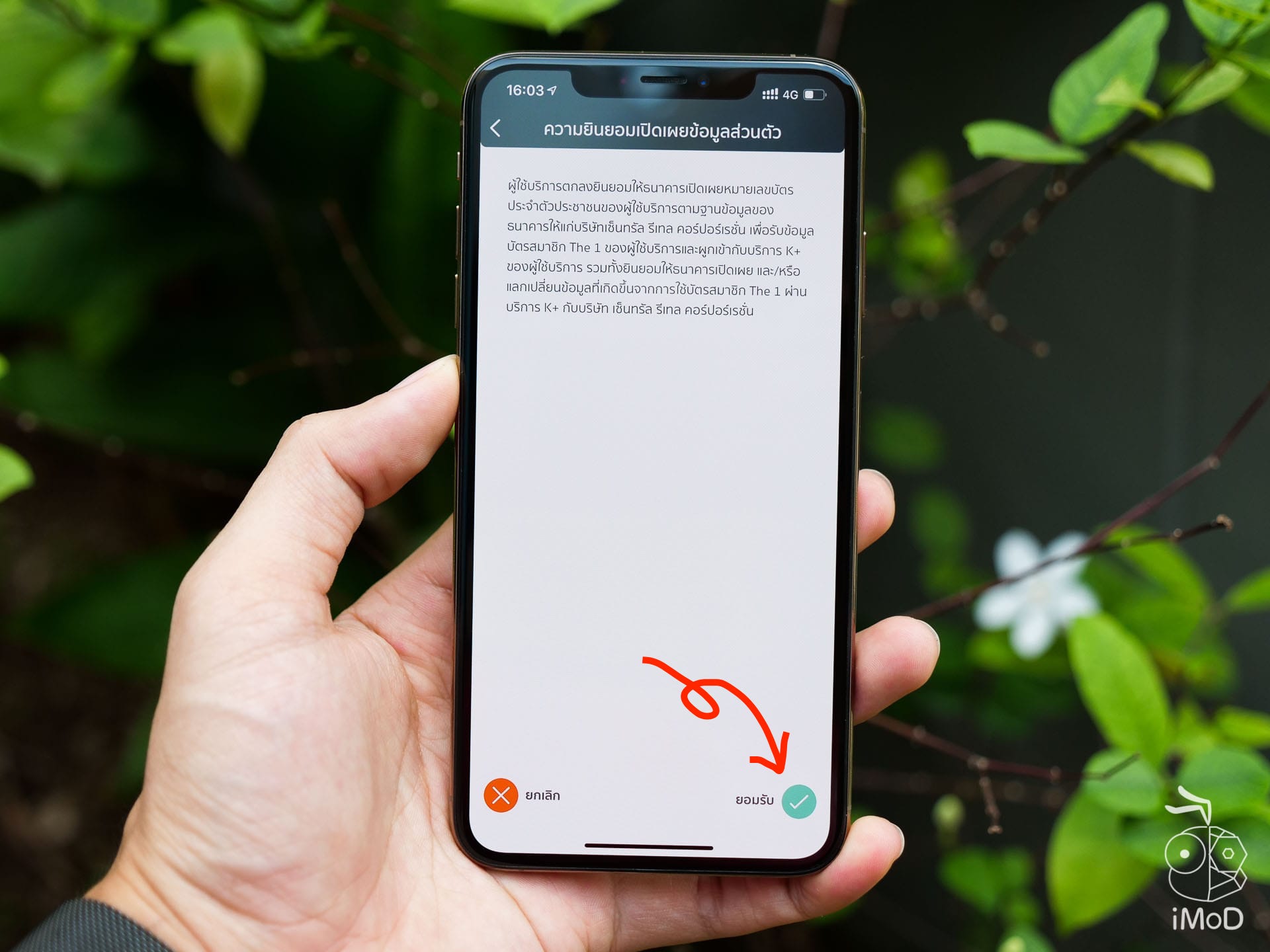 K Plus Member Card Using 1211301