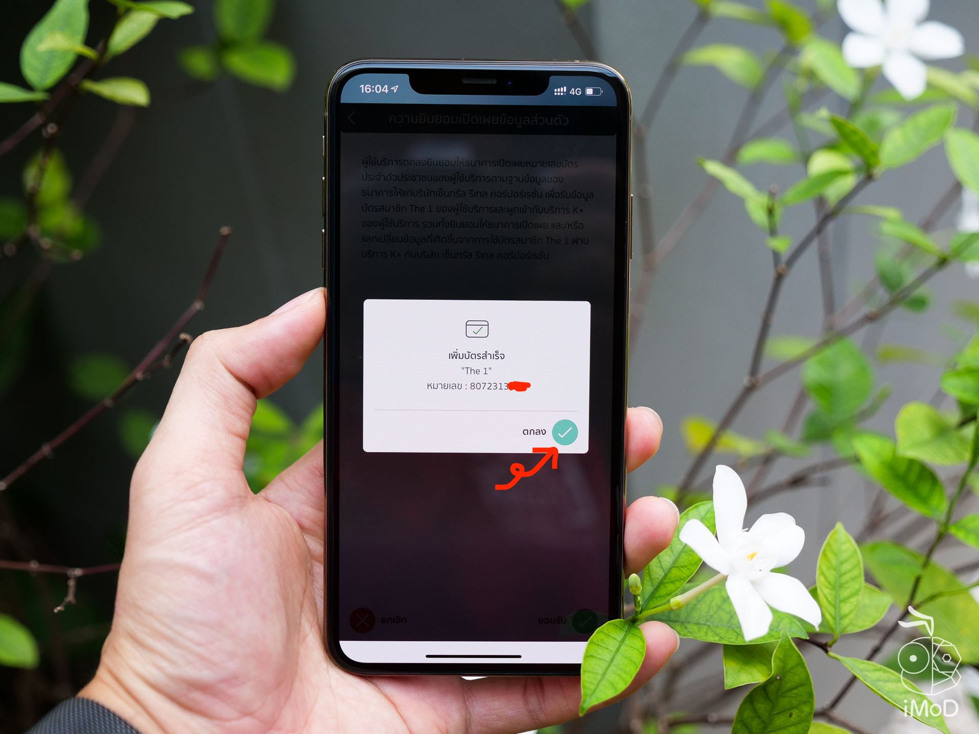 K Plus Member Card Using 1211302