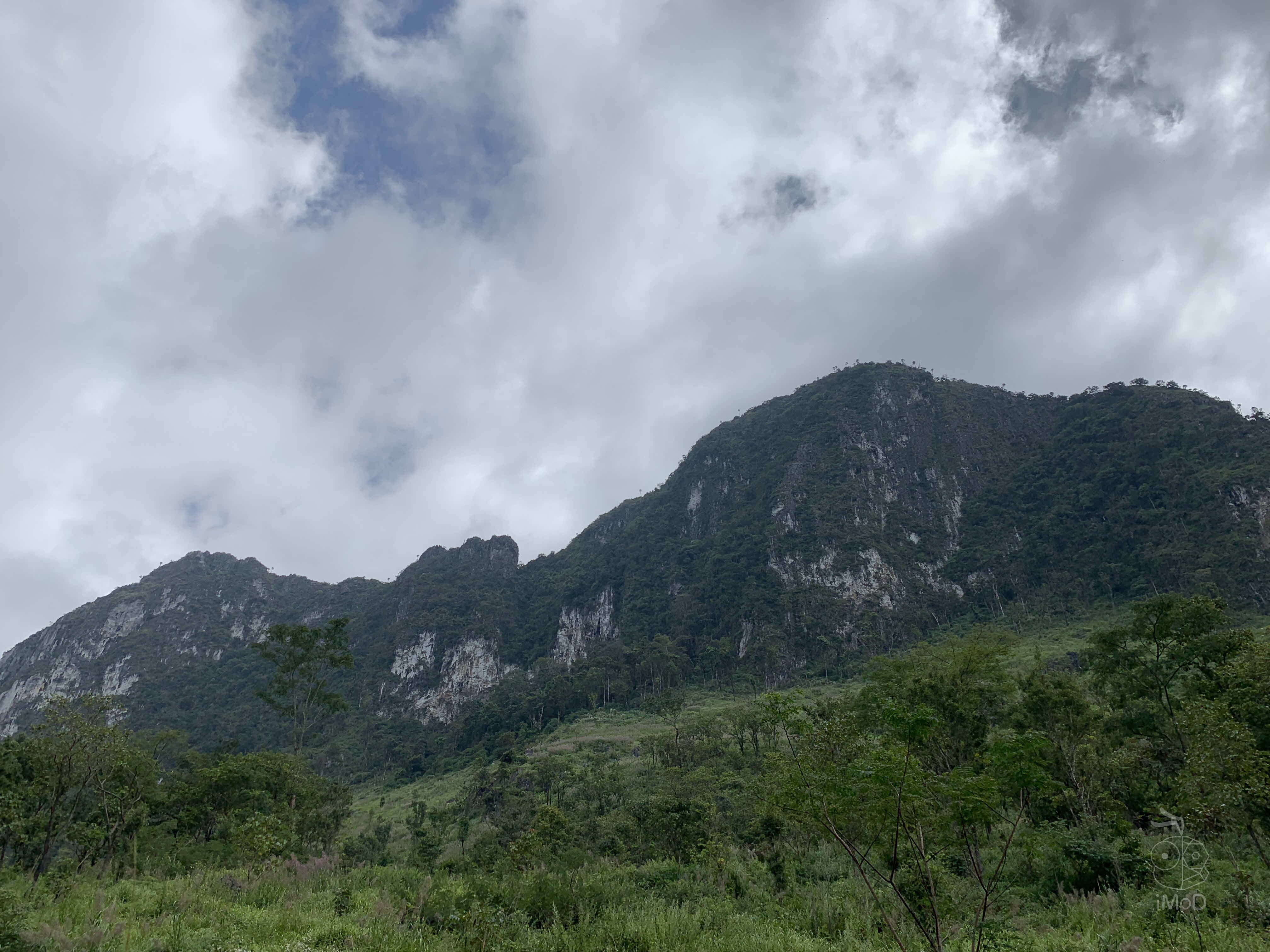 Photo Shot On Iphone Xr From Photographer Set 1 2005