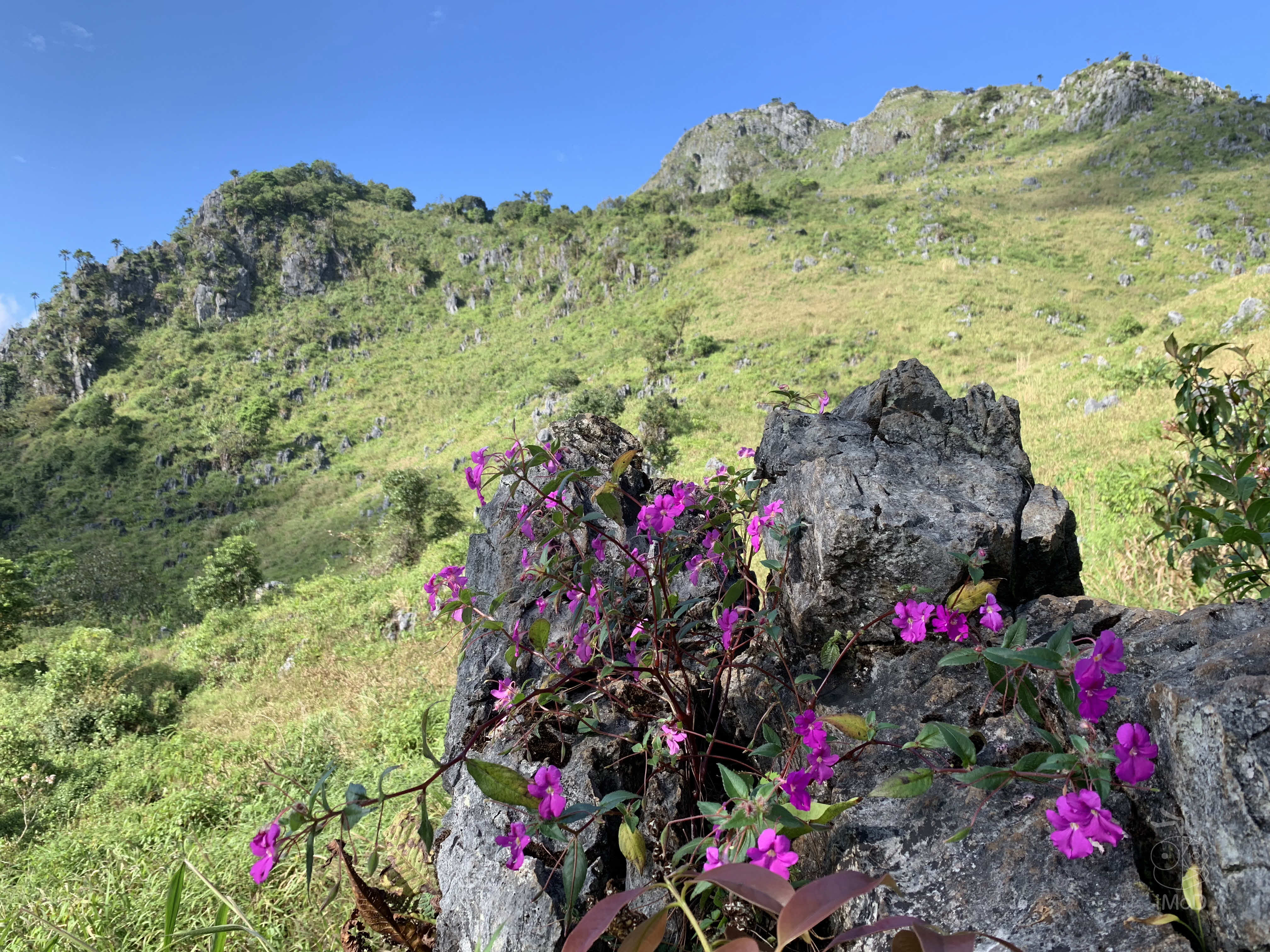 Photo Shot On Iphone Xr From Photographer Set 1 2008