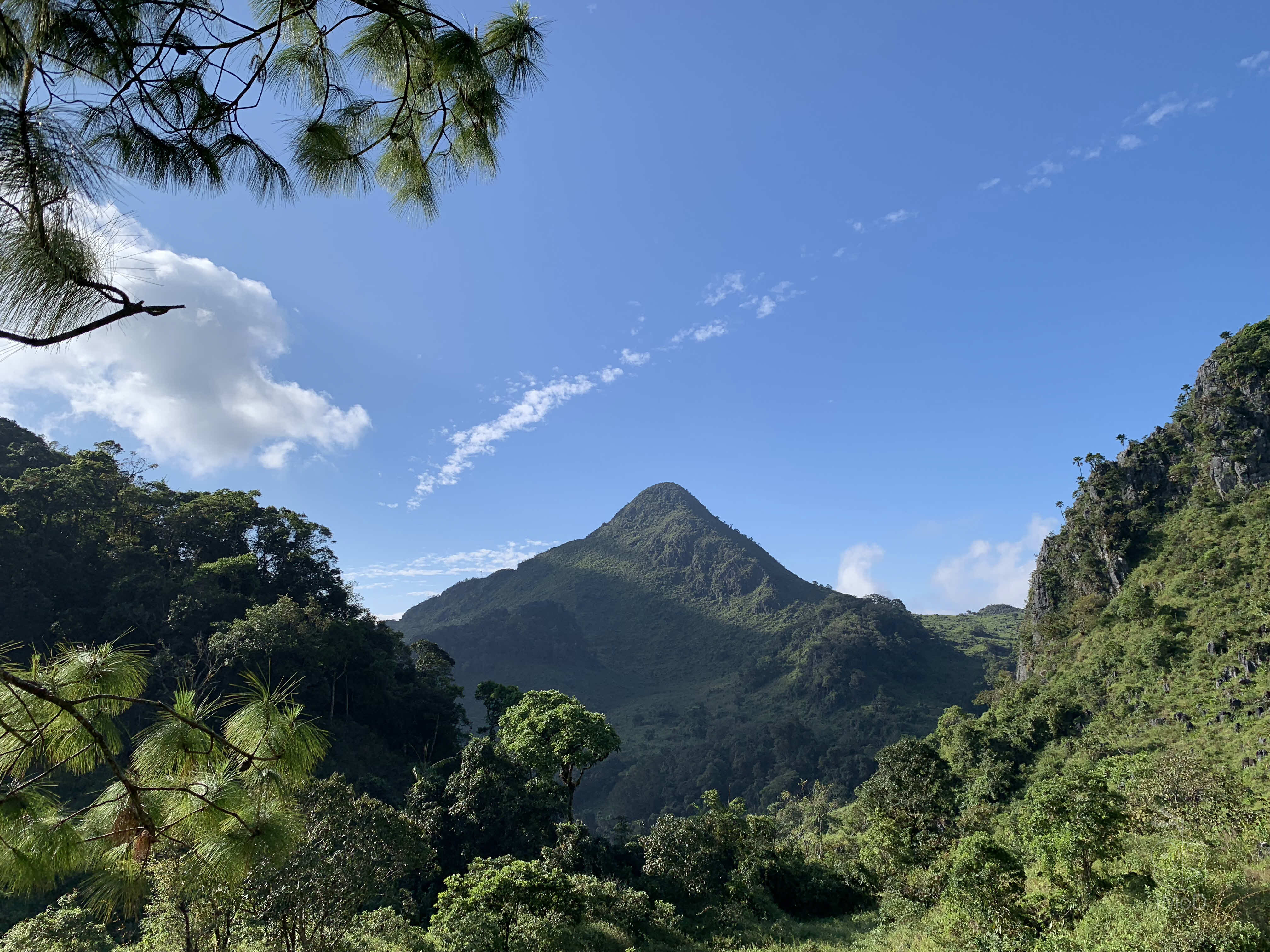 Photo Shot On Iphone Xr From Photographer Set 1 2009