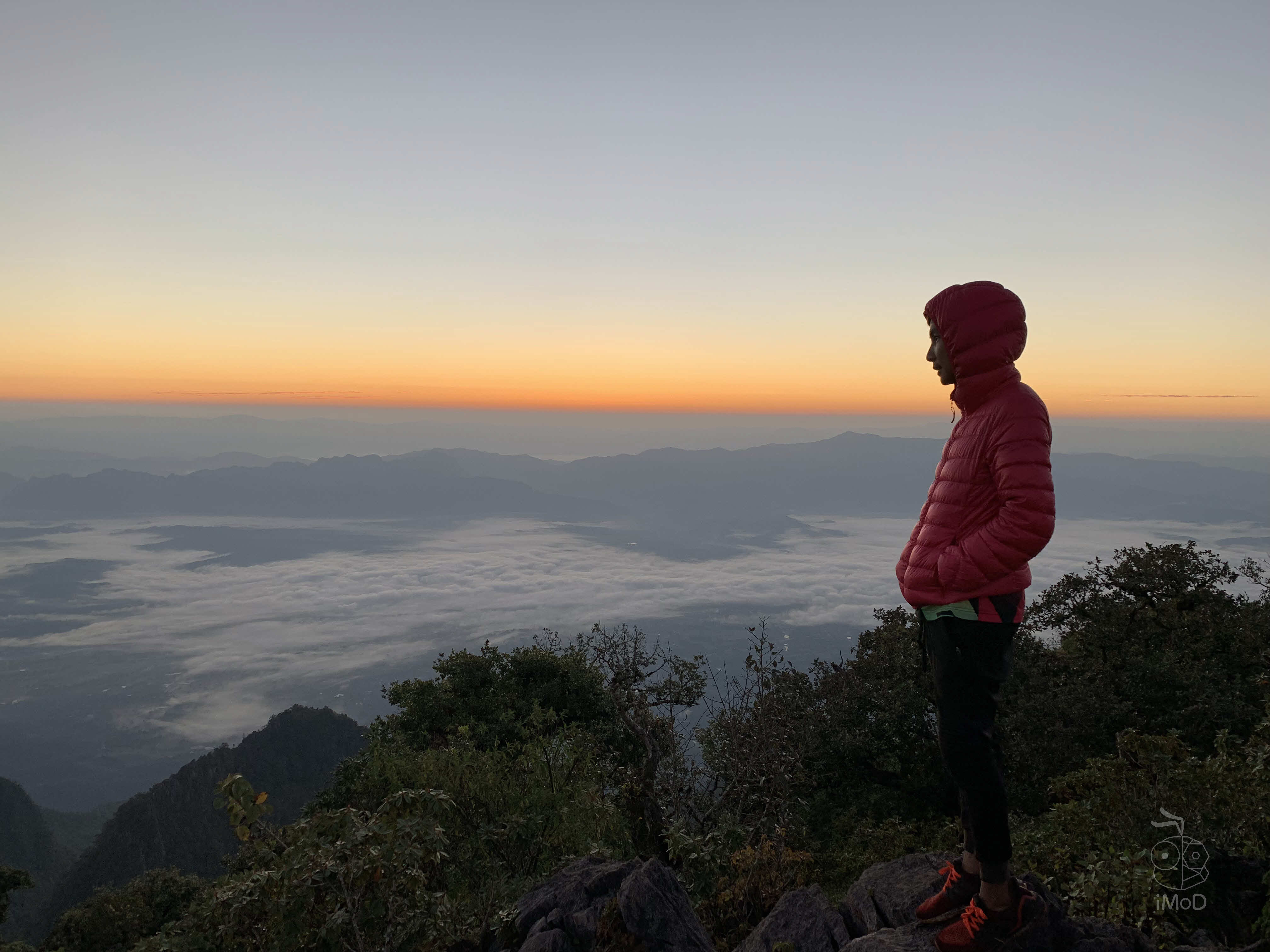 Photo Shot On Iphone Xr From Photographer Set 1 2021