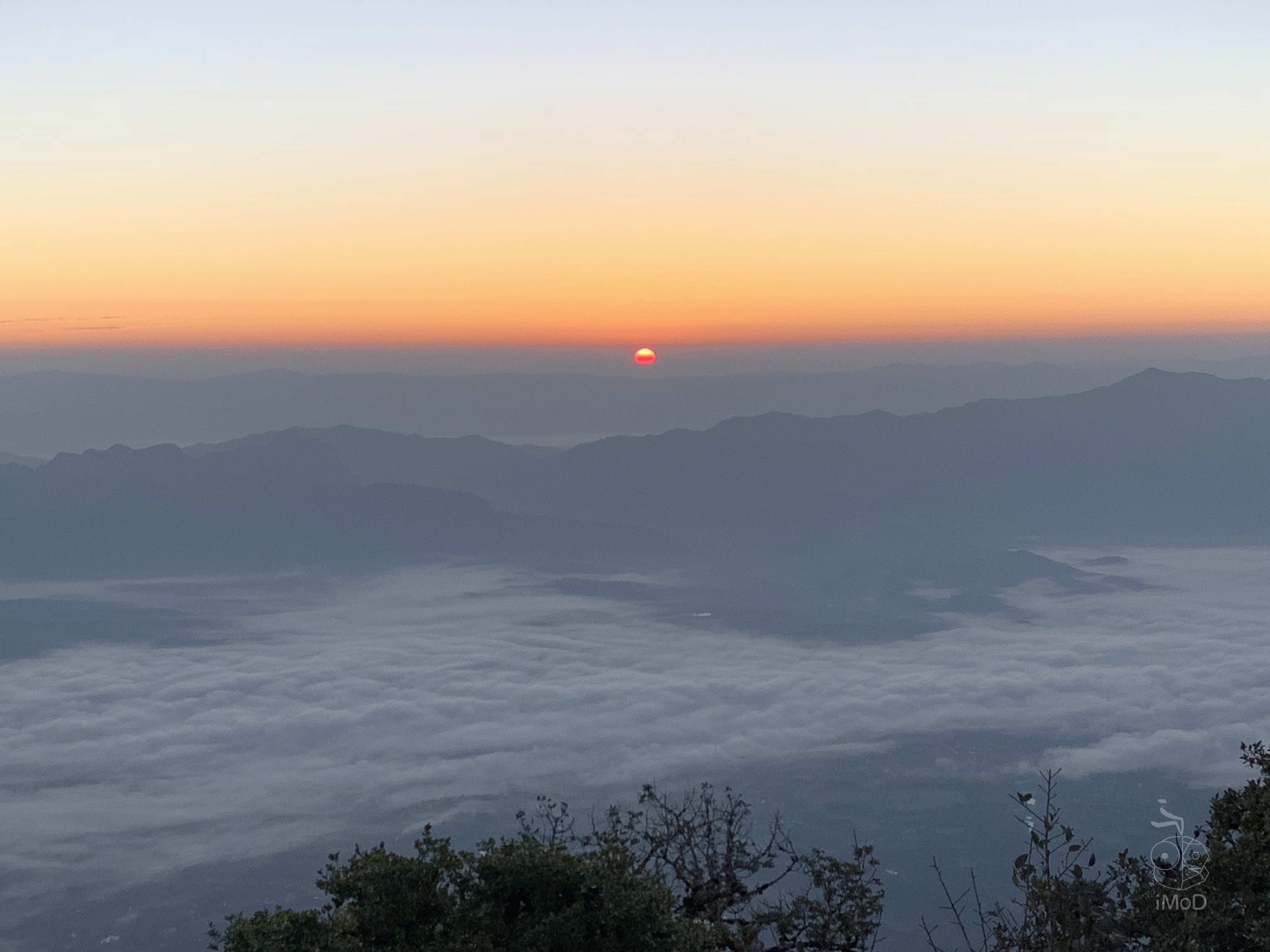 Photo Shot On Iphone Xr From Photographer Set 1 2023