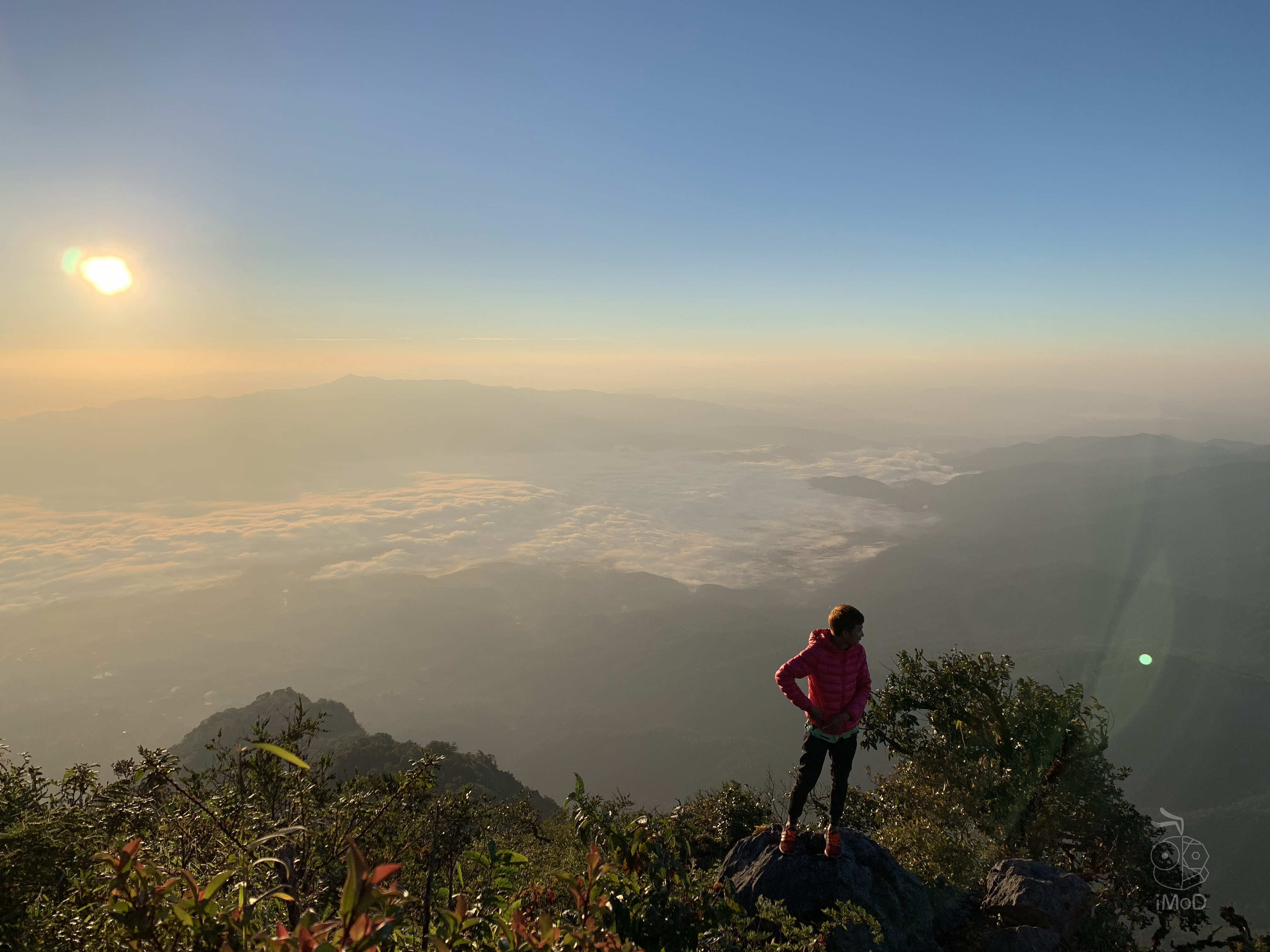 Photo Shot On Iphone Xr From Photographer Set 1 2029