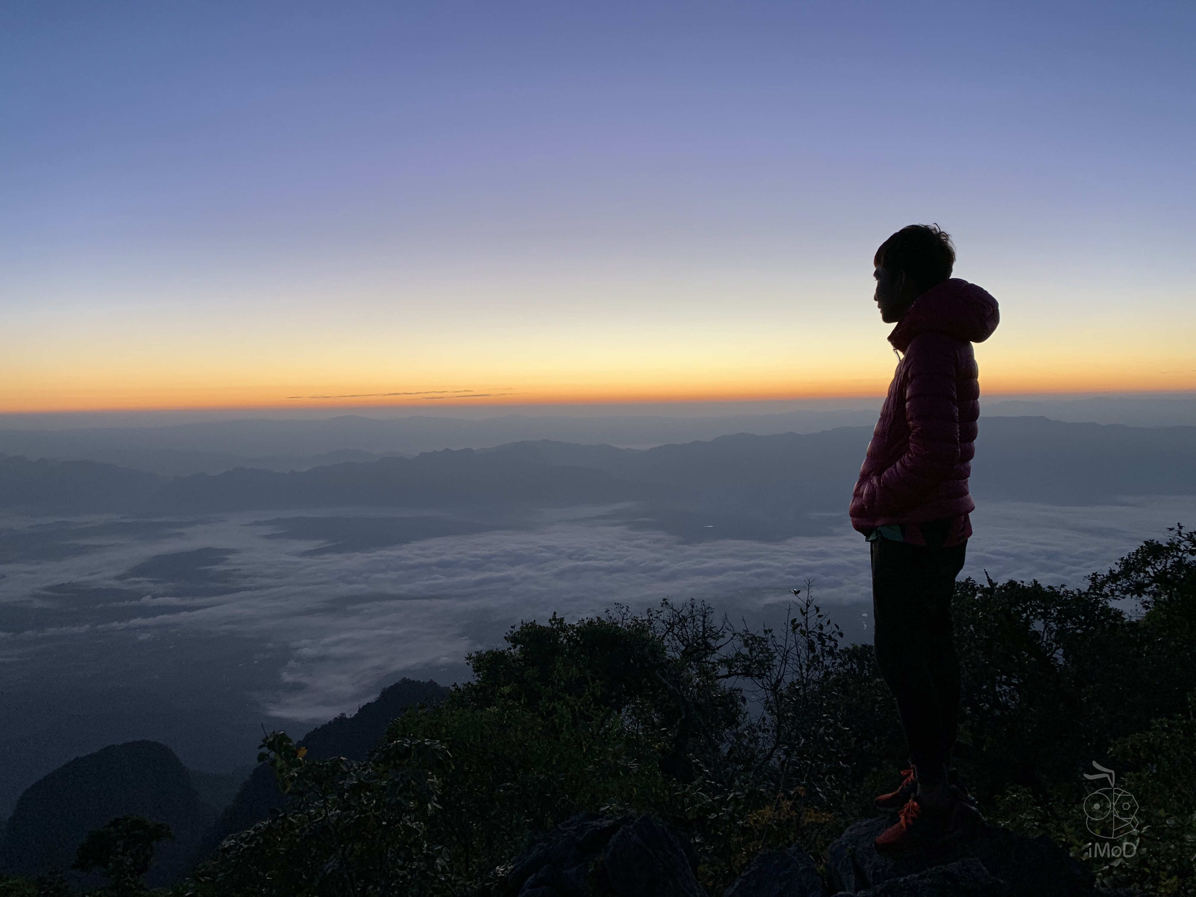 Photo Shot On Iphone Xr From Photographer Set 1 2033