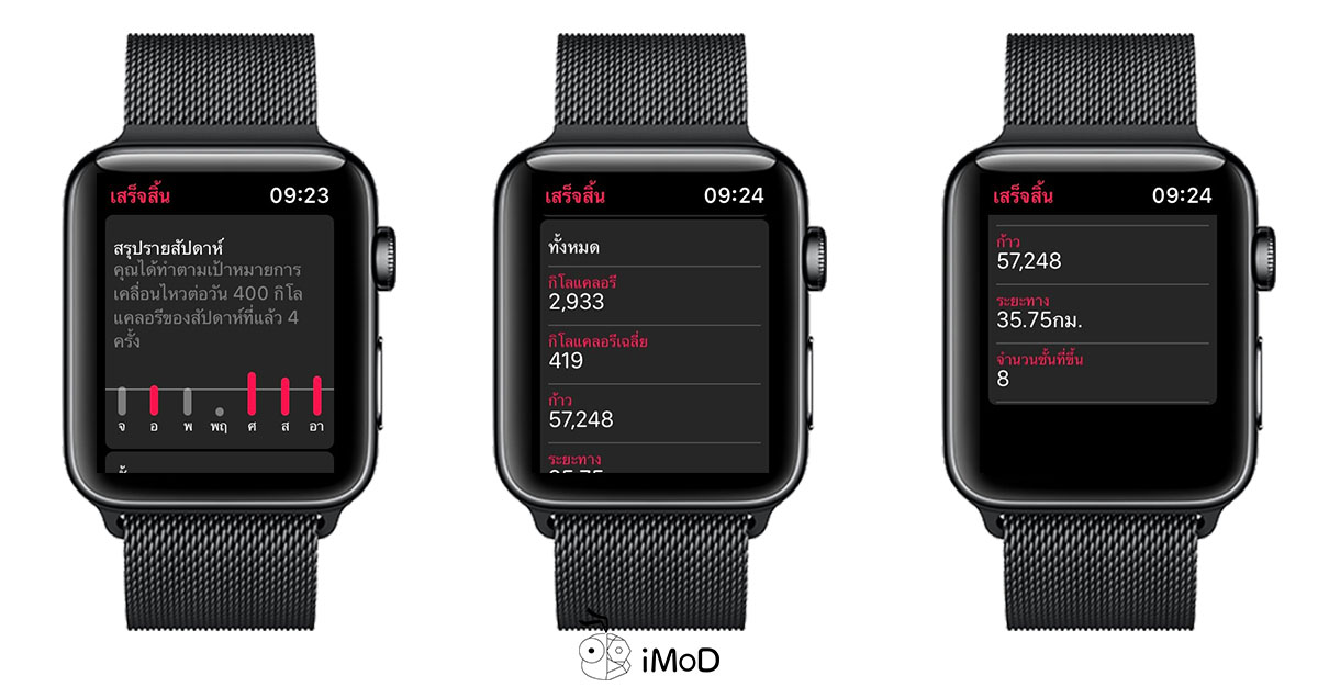 apple watch weekly summary