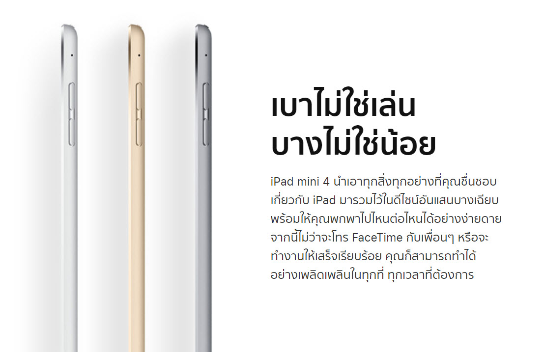 Ipad Mini Spec Img 1