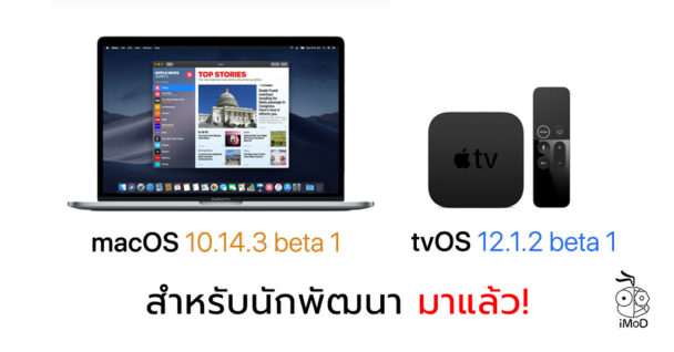 ios 14.3 beta profile