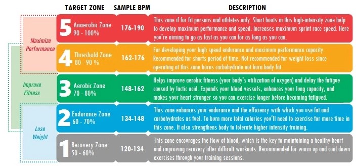 Exercise Control Heart Rate Zone By Zone For Training 9
