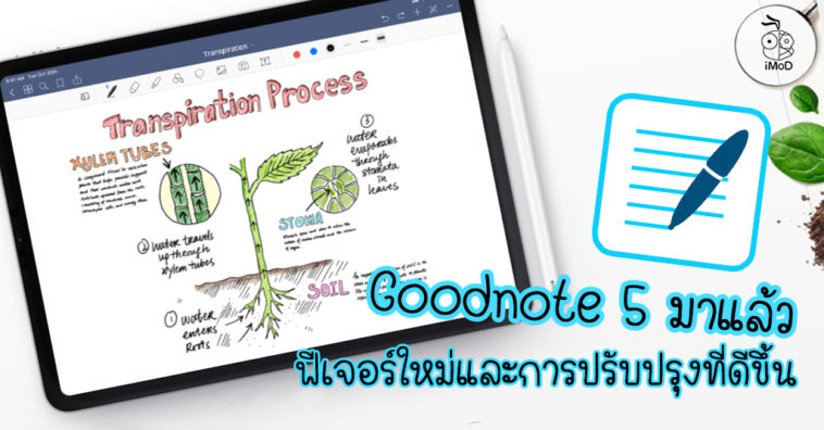 Goodnote 5 New Version Upgrad