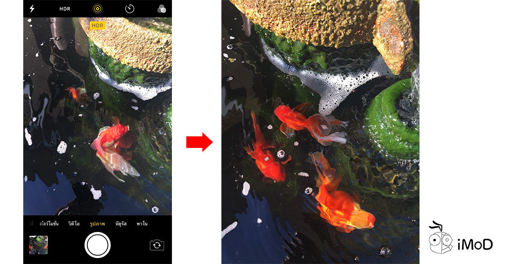 How To Shoot Live Photos To Set As Wallpaper 1