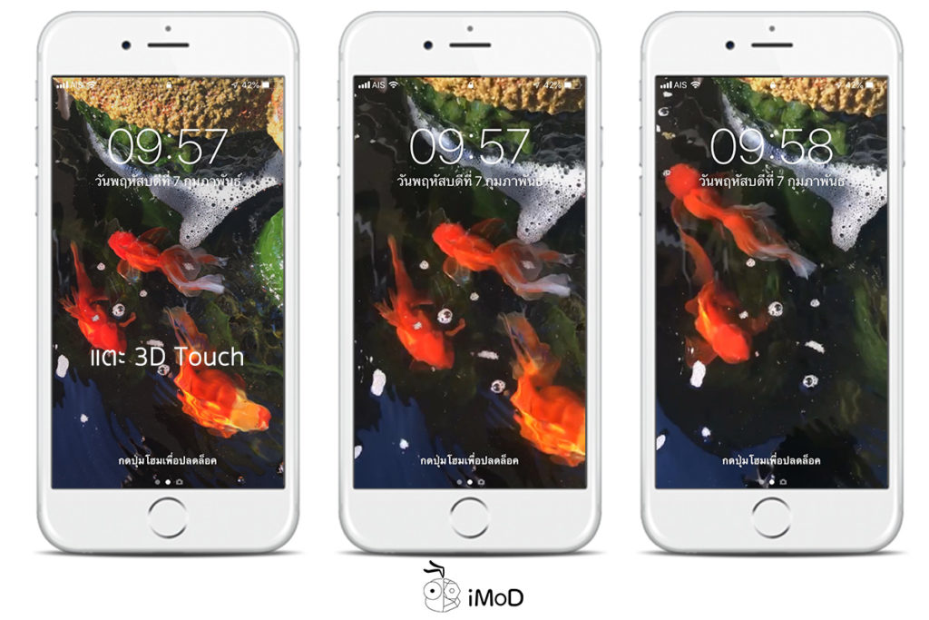 How To Shoot Live Photos To Set As Wallpaper 4