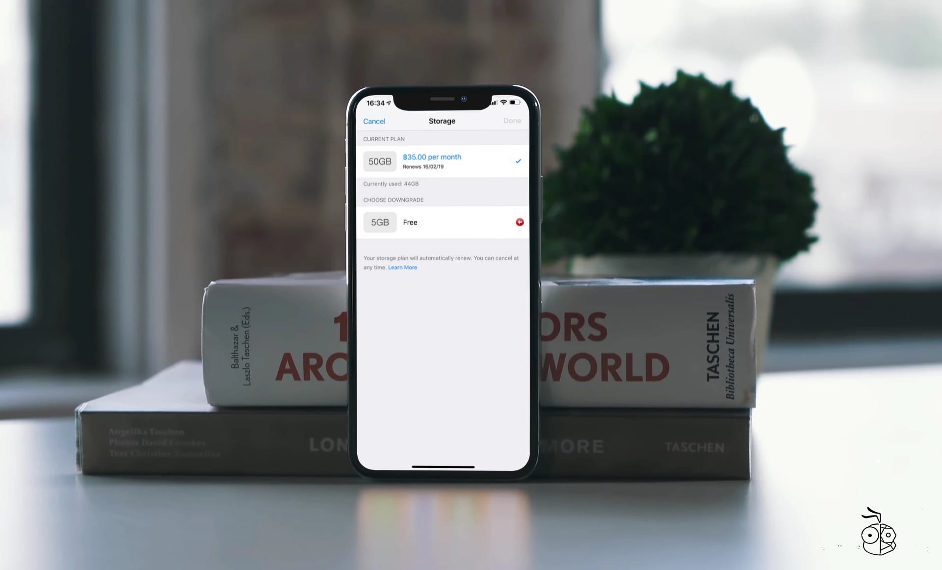 Icloud Storage Option