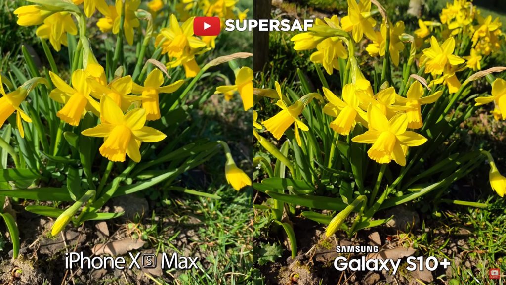 Iphone Xs Max Vs Galaxy S10 Plus Camera Comparision 20