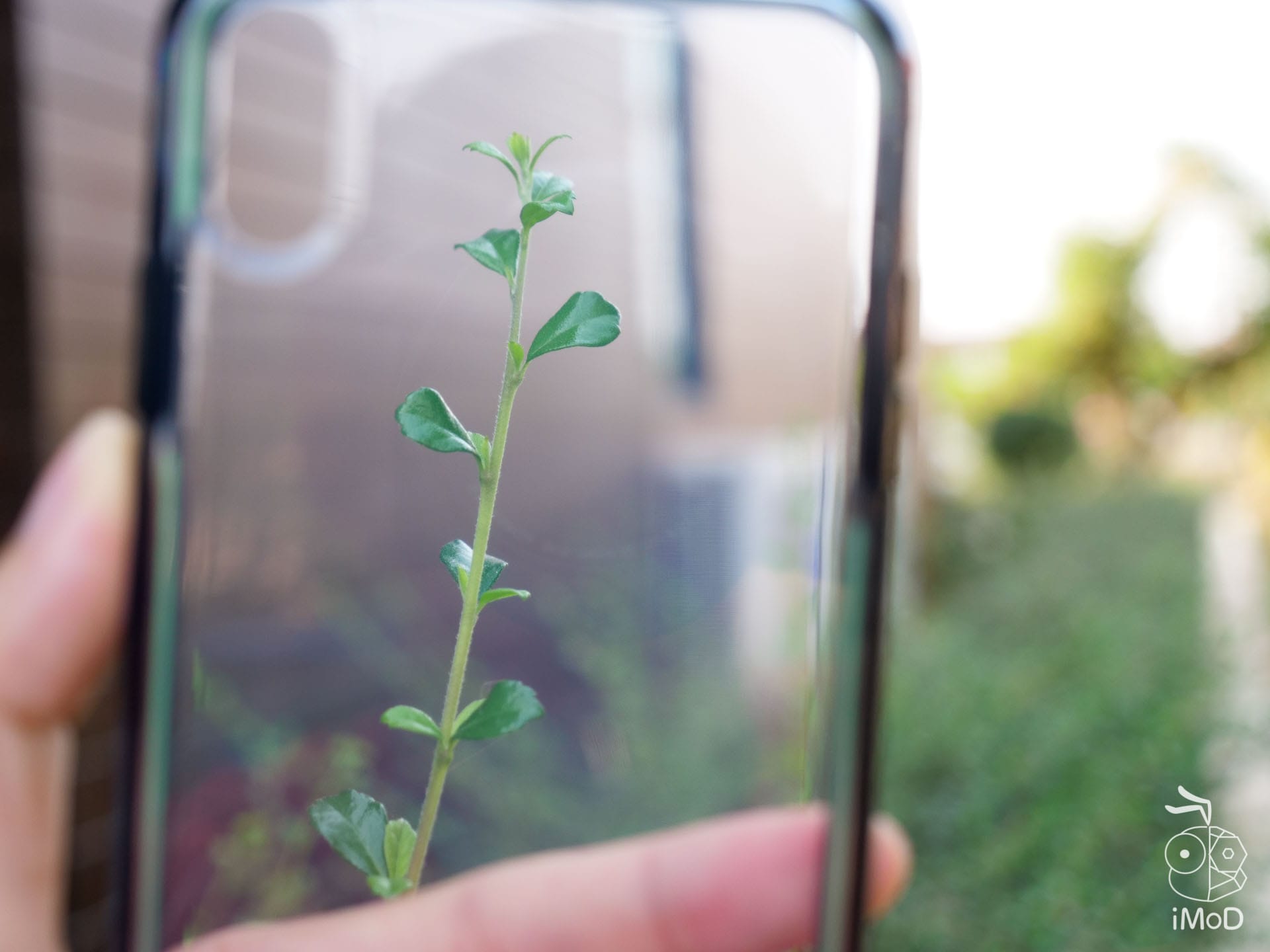 Mous Clarity Iphone Xs Max Xr Review 1222543