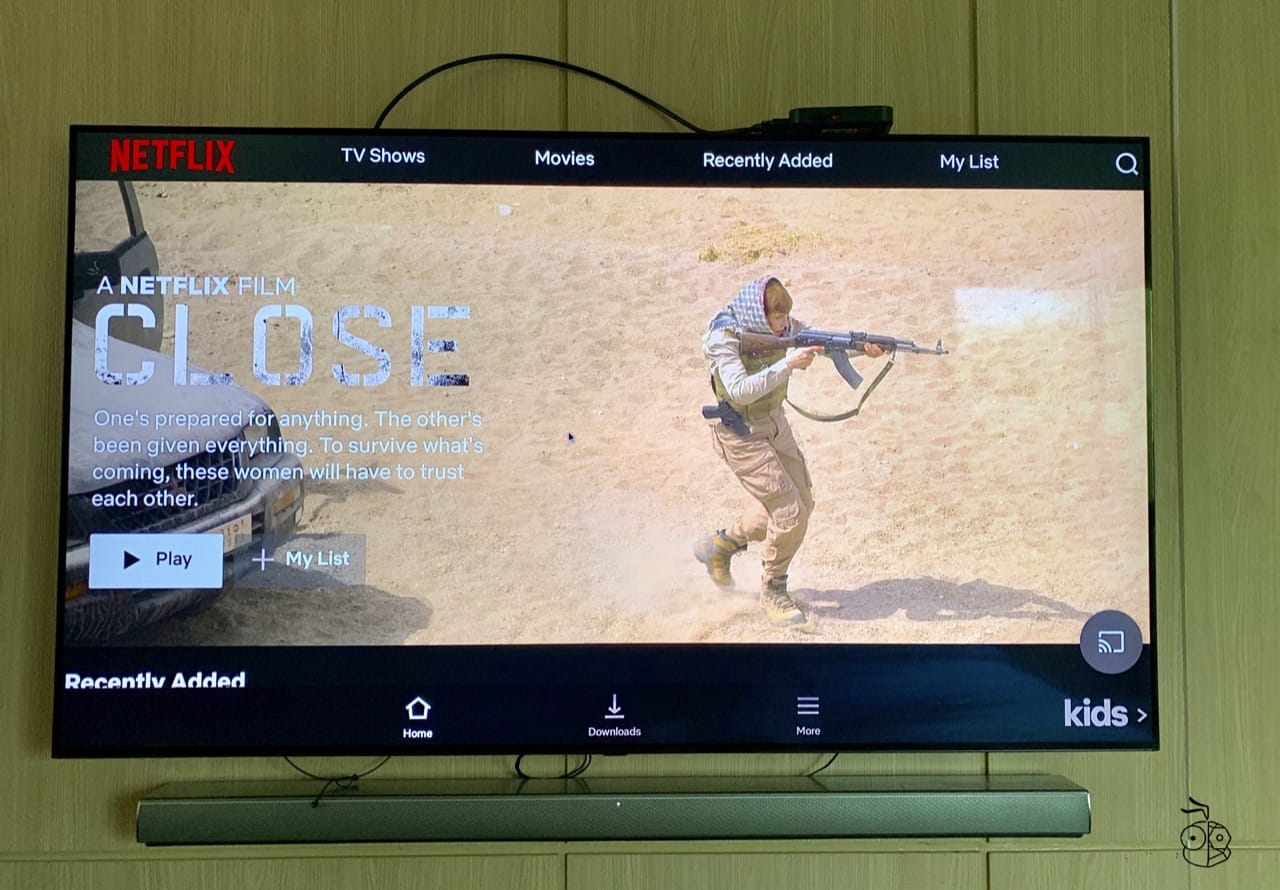 Trueid Tv Netflix Installed