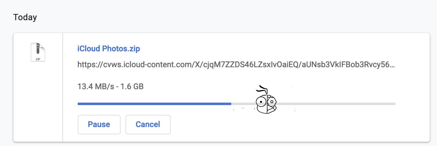 Downloading Multiple Photo Video From Icloud