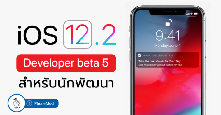 Ios 12 2 Developer Beta 5 Seed