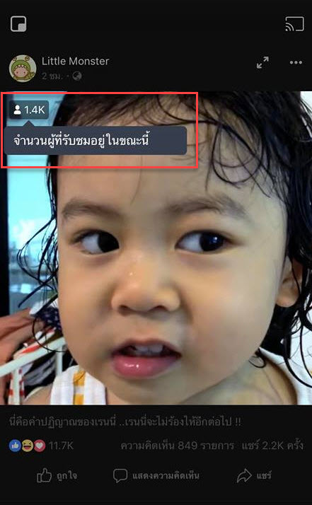 Facebook Realtime Visitor Count Video Img 1