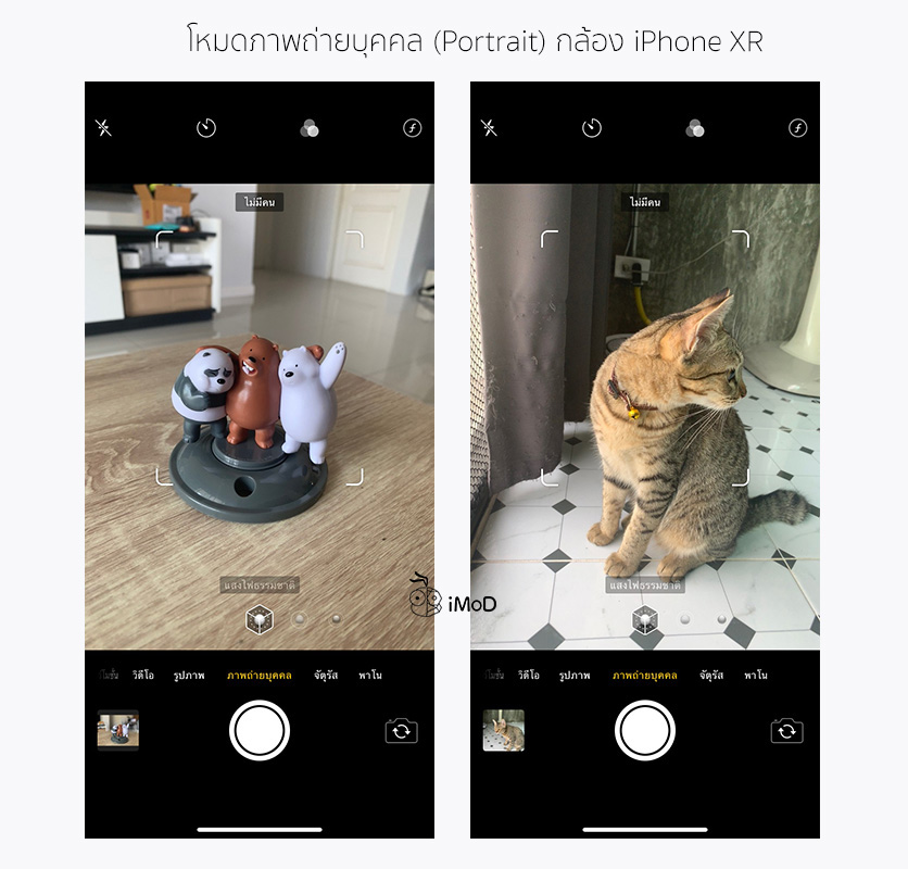 How To Take Portrait Mode With Things Pet On Iphone Xr By Halide 11