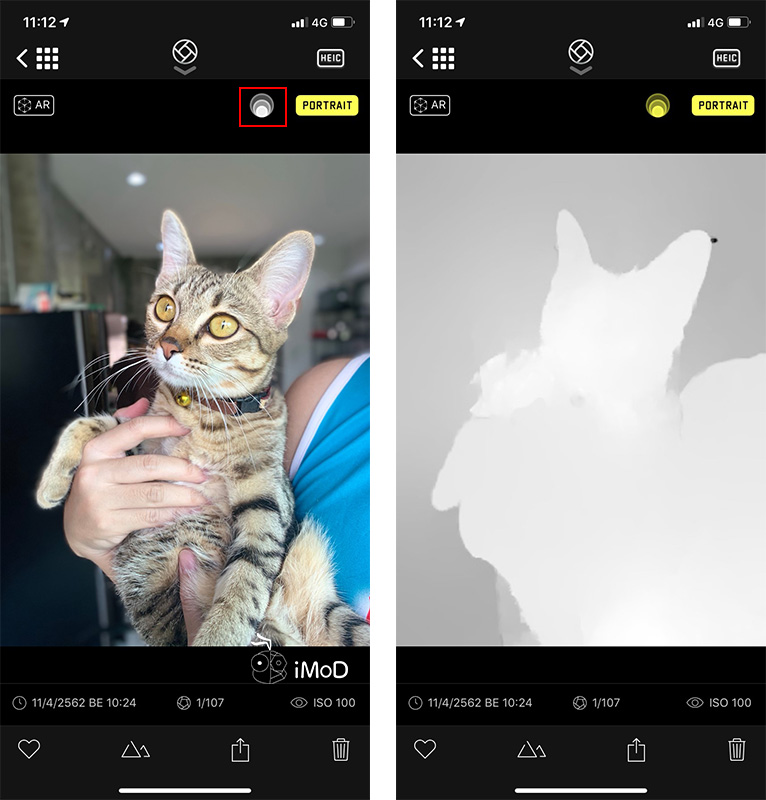 How To Take Portrait Mode With Things Pet On Iphone Xr By Halide 7