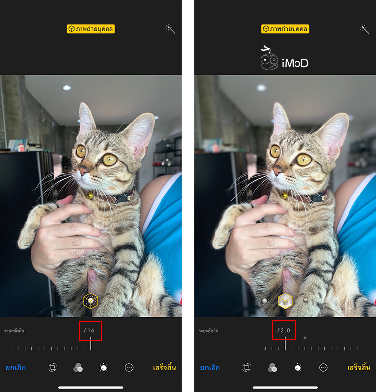 How To Take Portrait Mode With Things Pet On Iphone Xr By Halide 8