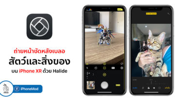 How To Take Portrait Mode With Things Pet On Iphone Xr By Halide Cover