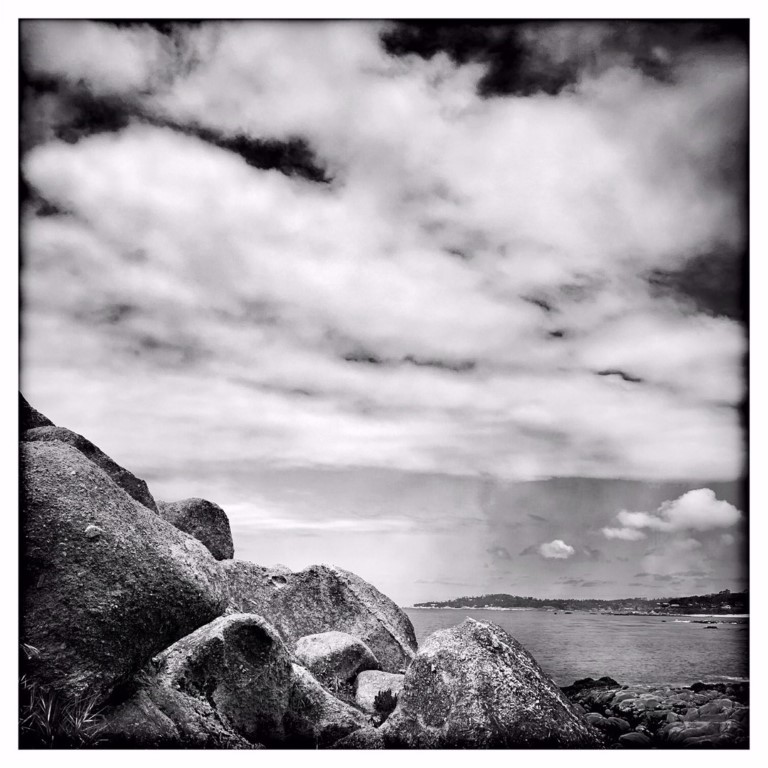 Apple Photographer Rachael Short Everyday Life Natural Beauty Carmel 05162019