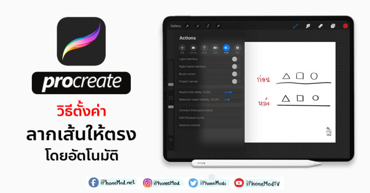 Setting Line Procreate