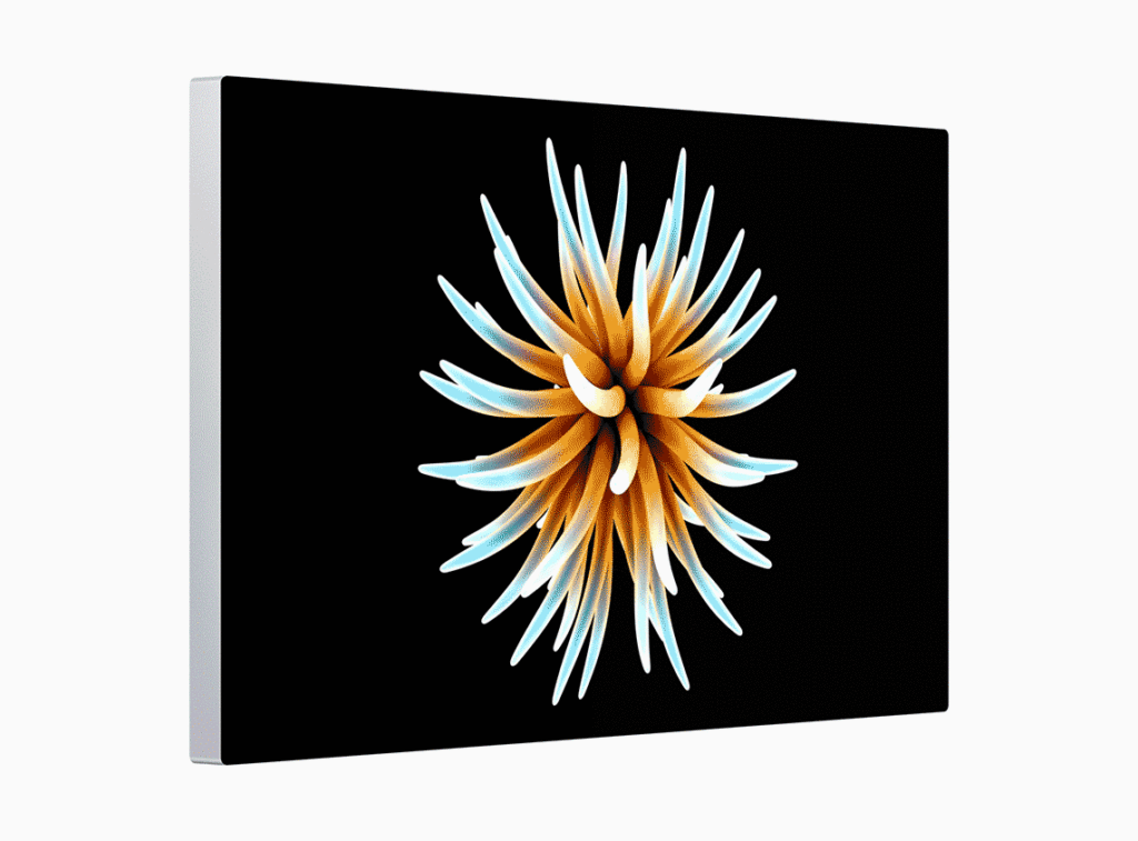 Apple Mac Pro Display Pro Display Pro Xdr Retina 060319