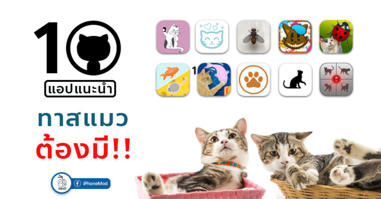 Cover Apps Cats