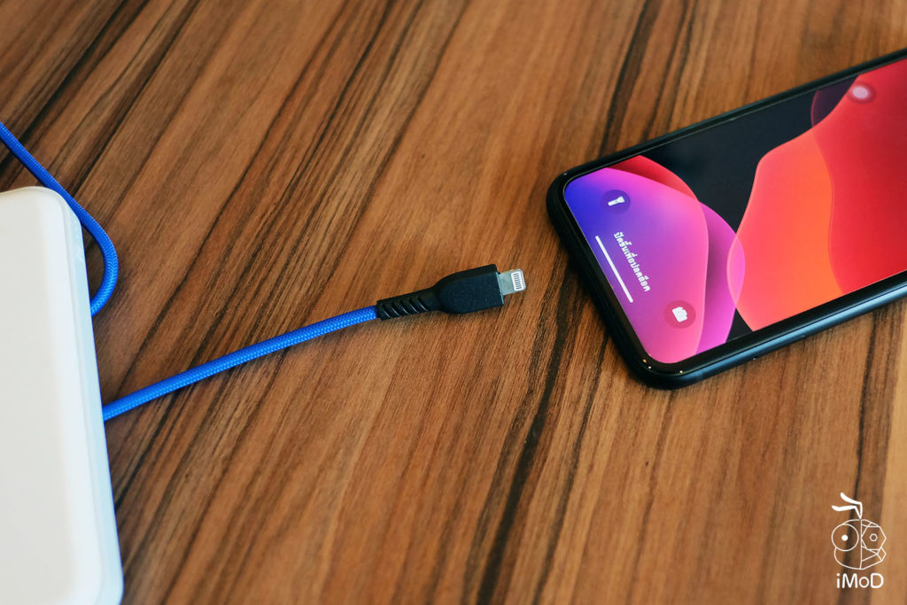 Rizz Kavlar Strong Cable Review 8