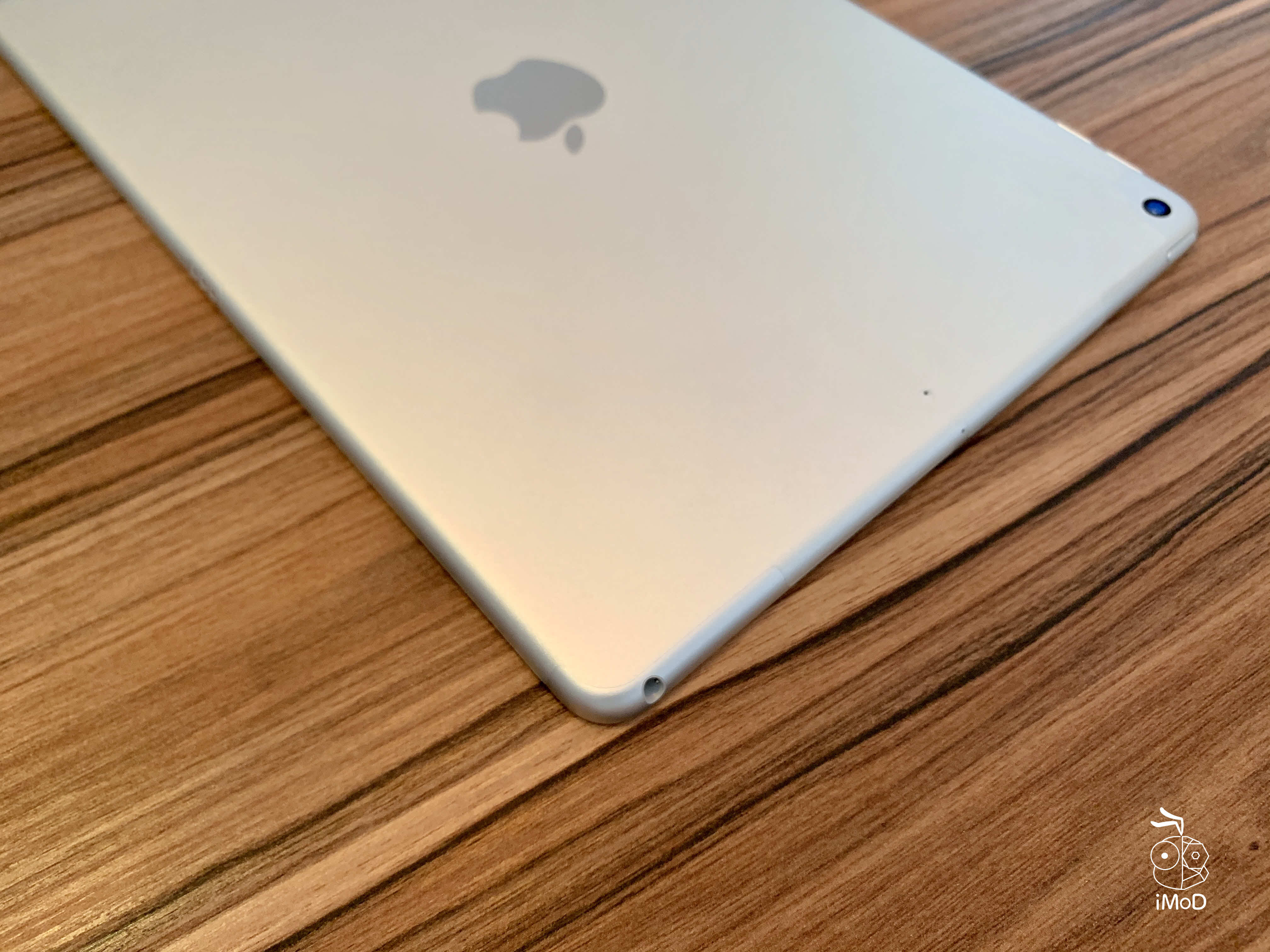 Deco Shield Back Protection For Ipad Review 018