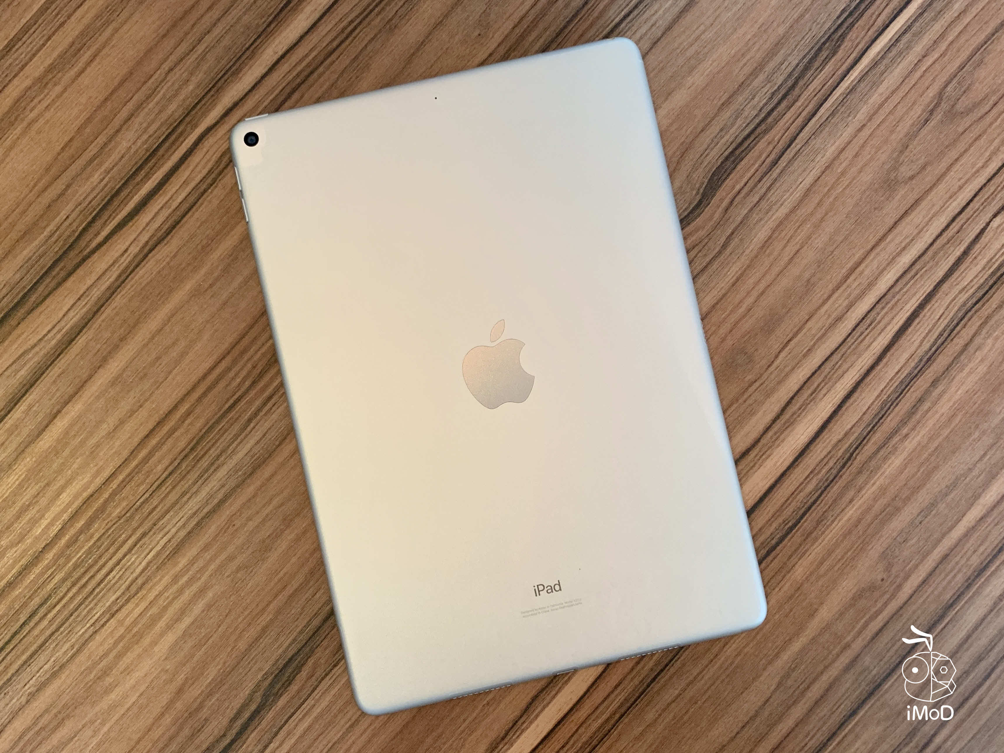 Deco Shield Back Protection For Ipad Review 021