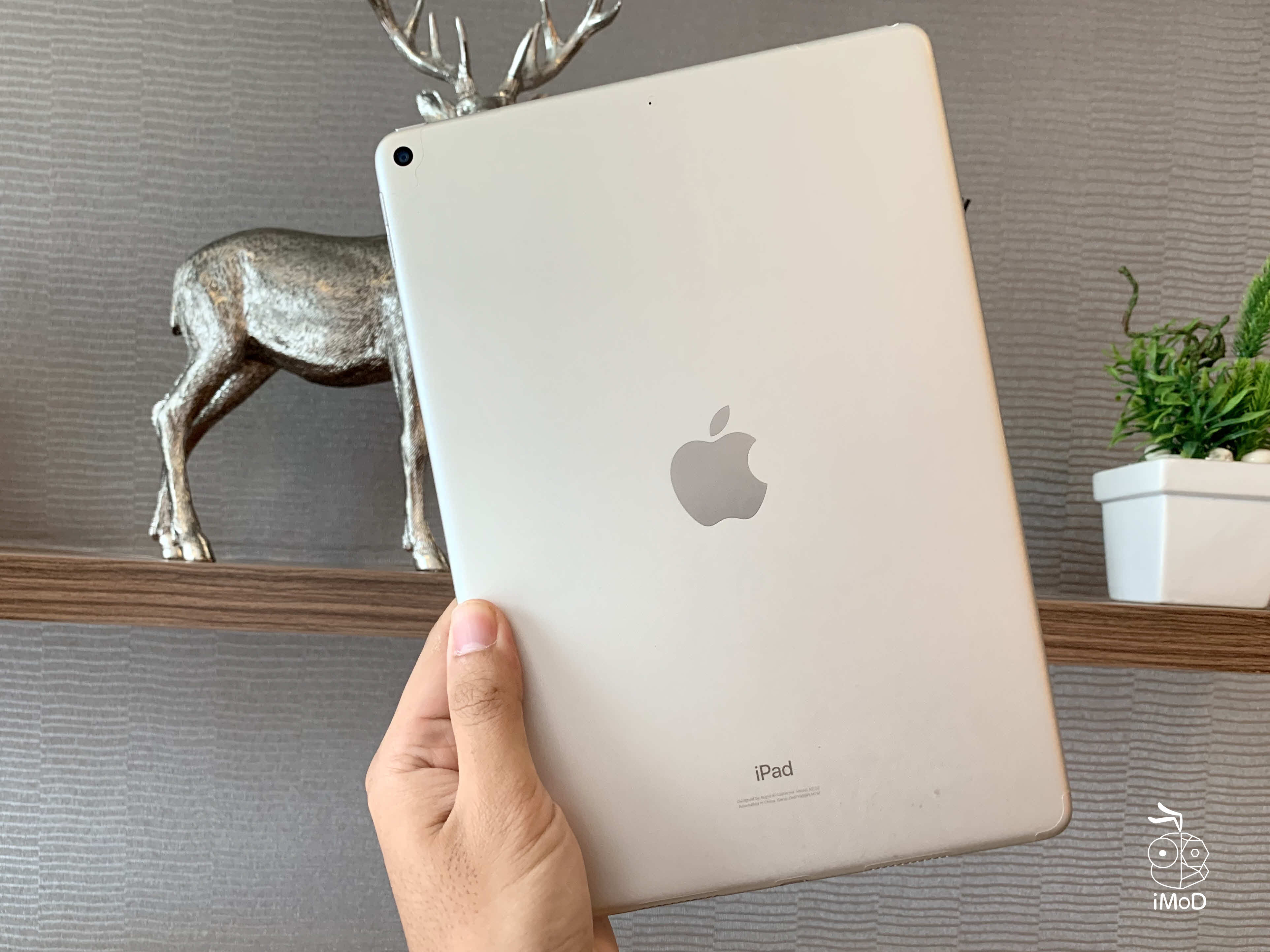 Deco Shield Back Protection For Ipad Review 022