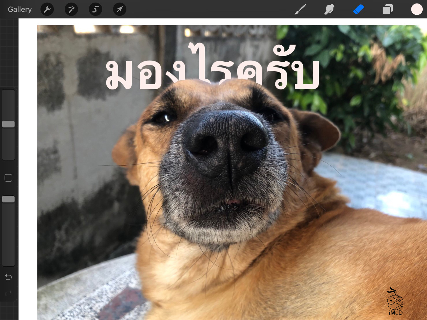 How To Behind Text And Picture 14