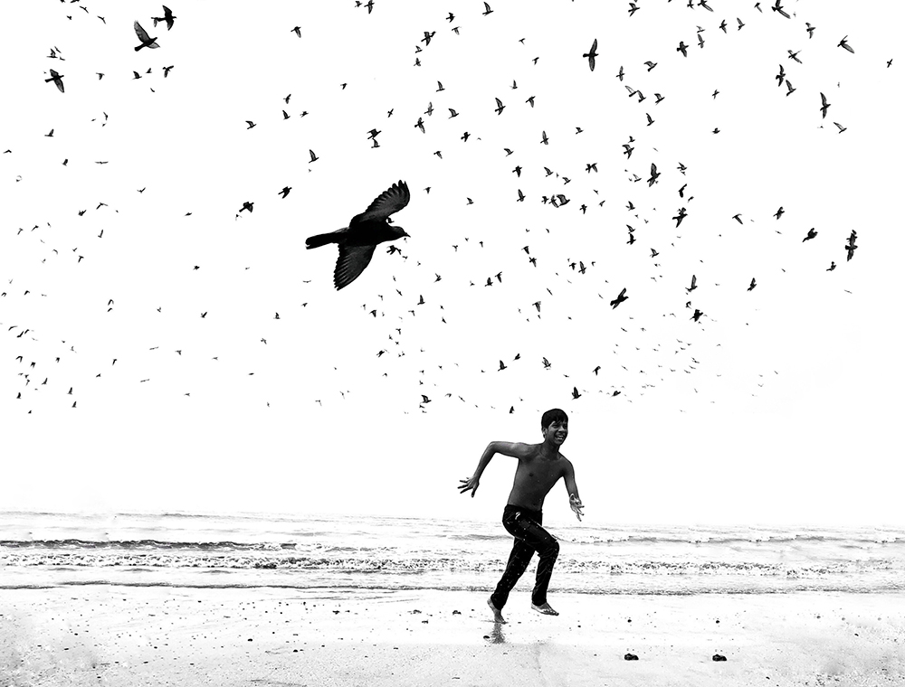 Iphone Photography Awards 2019 14