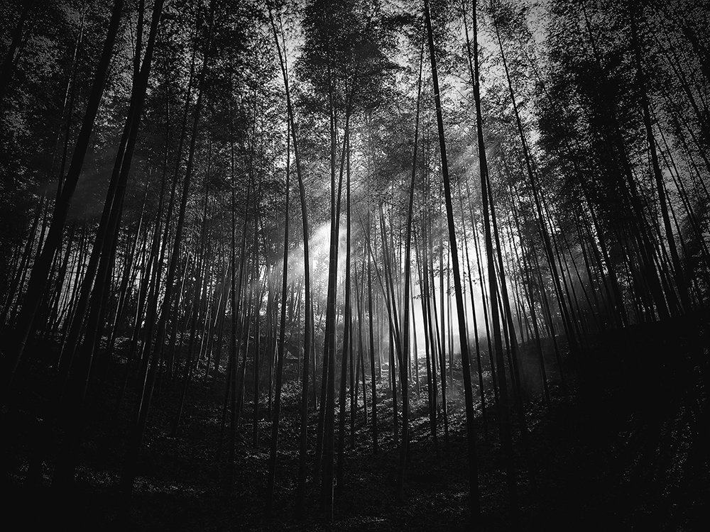 Iphone Photography Awards 2019 16