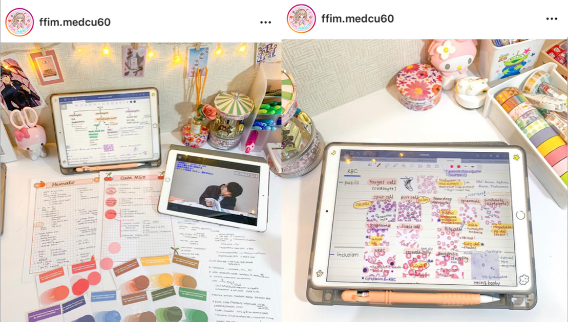 How To Have Fun Studying 17