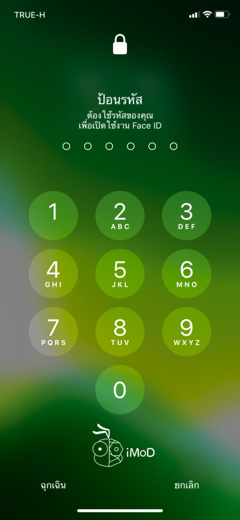 How To Prevent Another Unlock Your Iphone 1